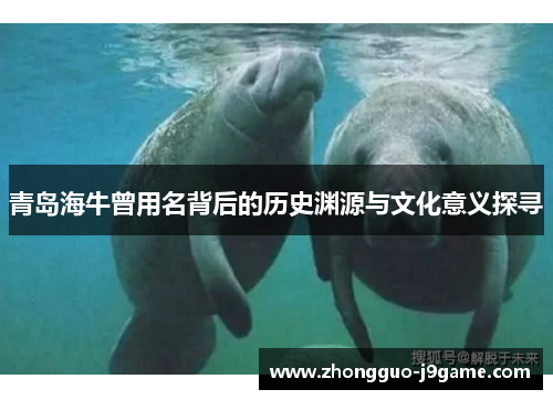 青岛海牛曾用名背后的历史渊源与文化意义探寻 青岛海牛曾用名背后的历史渊源与文化意义探寻