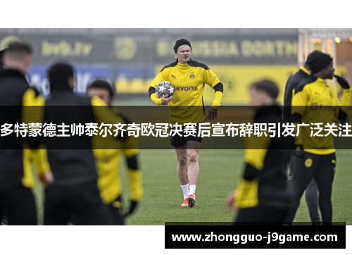 多特蒙德主帅泰尔齐奇欧冠决赛后宣布辞职引发广泛关注 多特蒙德主帅泰尔齐奇欧冠决赛后宣布辞职引发广泛关注