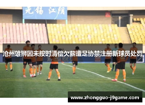沧州雄狮因未按时清偿欠薪遭足协禁注册新球员处罚 沧州雄狮因未按时清偿欠薪遭足协禁注册新球员处罚